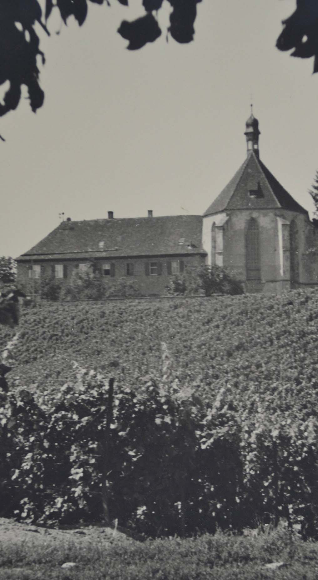 vogelsburg-historisch Vogelsburg historische Ansicht